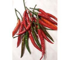 Chilli "Thai red"