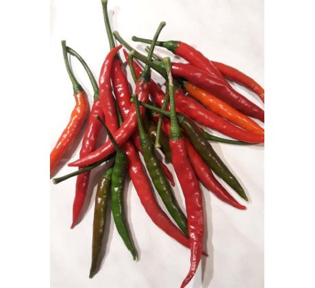 Chilli "Thai red"