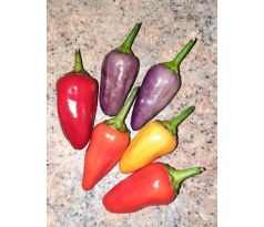 Chilli paprika "Zimbabve black"