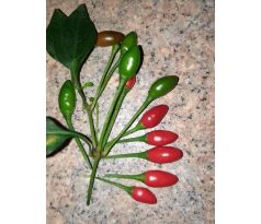 Chilli paprika "Tepin"