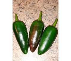 Chilli paprika "Jalapeño"